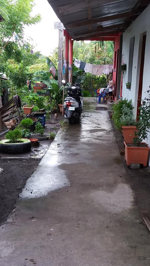 مبيت وإفطار Santa Cruz Mi Ranchito المظهر الخارجي الصورة